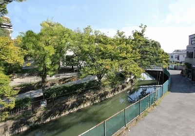 ２階居室から見える戸外の風景・・・桜並木ですヨ。